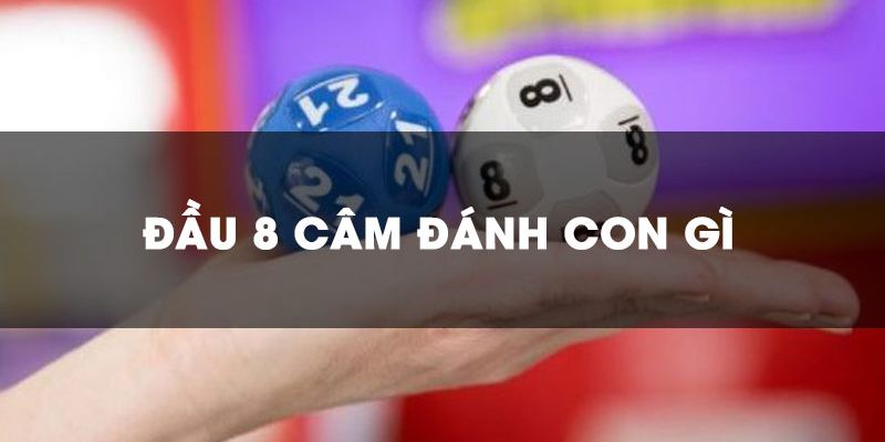 Gợi ý đầu 8 câm đánh con gì bao trúng?