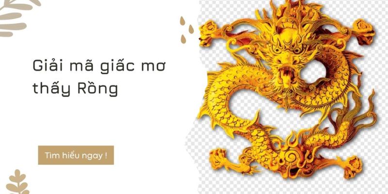 Tổng quan về chiêm bao thấy rồng